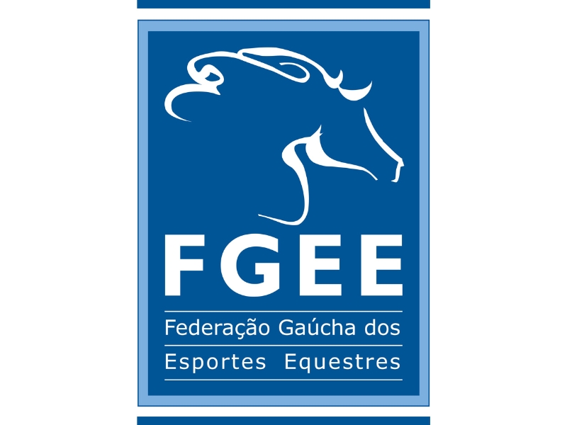 FGEE - VMIX