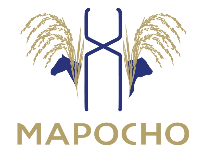 MAPOCHO 2026 - VMIX